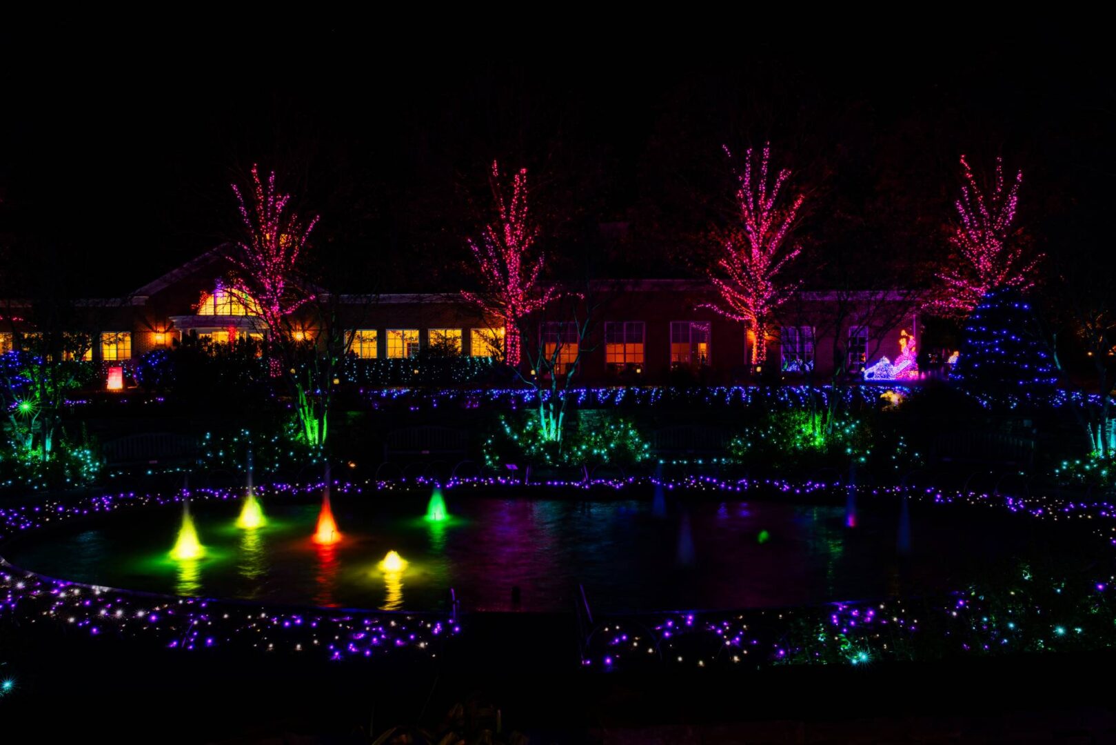 A pond with lights in the middle of it